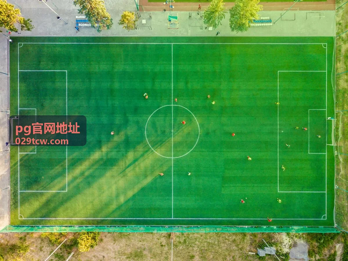 pg官网地址入口特征对照说明